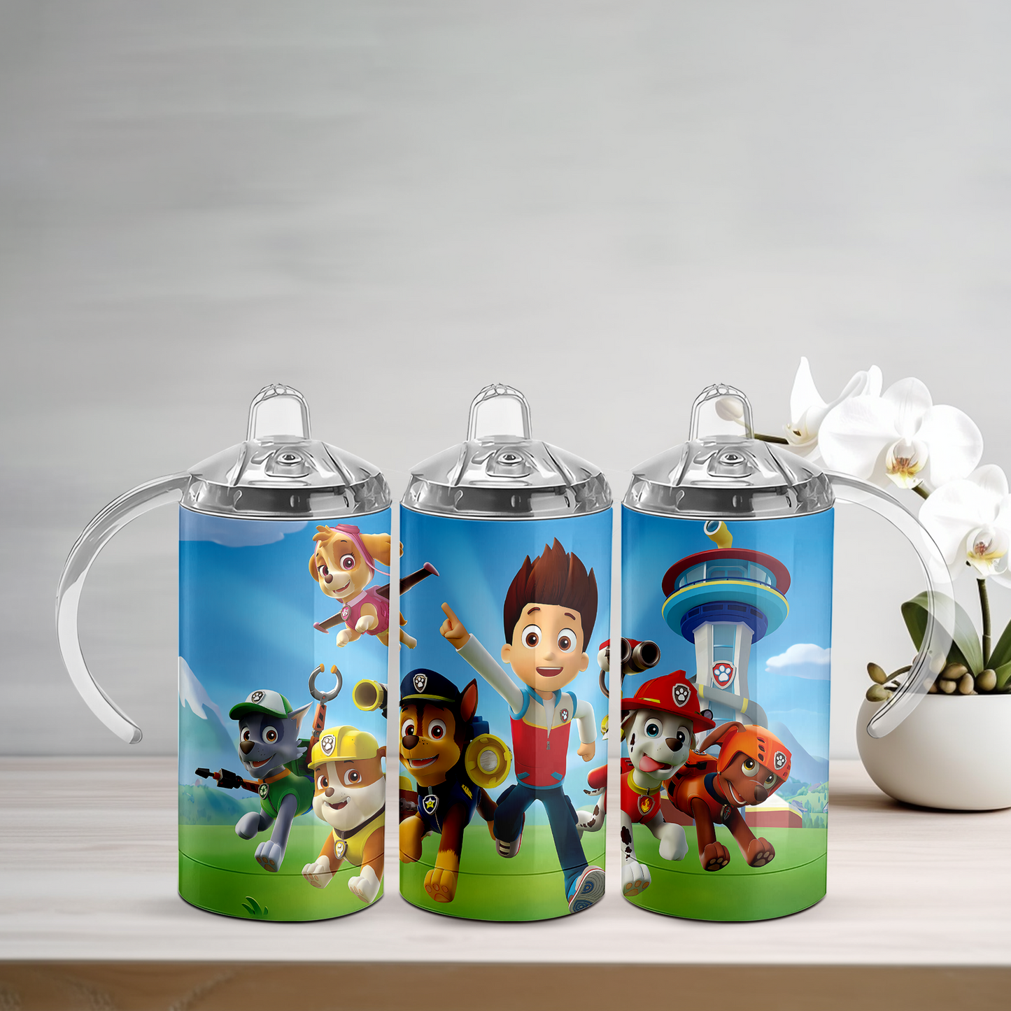 Paw Patrol Sippy Tumbler